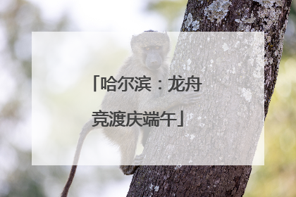 哈尔滨：龙舟竞渡庆端午